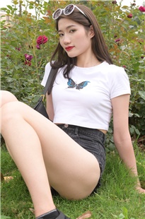 引蝶MJ2701
